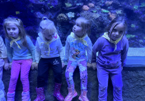 Dzieci siedzą na tle wielkiego akwariumu