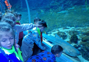 Dzieci obserwują dużą płynącą rybę