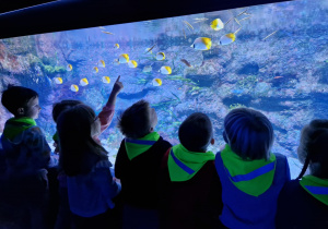 Dzieci oglądają ryby