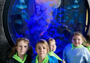Dzieci na tle meduz