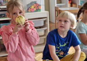 Dziewczynka wącha dynie