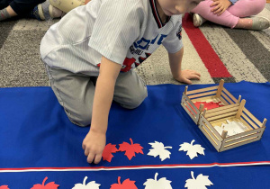 Chłopiec kladzie dwa liście czerwone