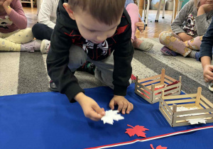 Chłopiec kładzie jeden biały liść kolnu