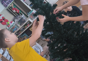 Chłopiec ubiera choinkę