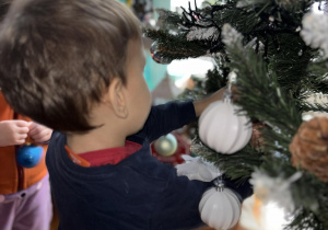 Chłopiec zakąłda białą bombkę na gałązkę choinkową