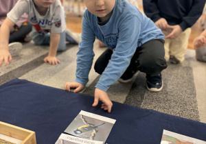 Chłopiec wskazuje sikorkę