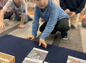 Zimowi goście w naszym przedszkolu