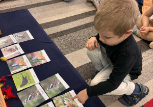 Chłopiec wskazuje gila