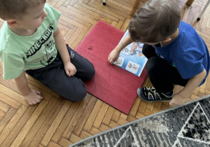 Chlopiec układa ilustracje pożywienia dla ptaków