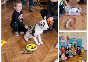 dzieci uczą się prawidłowo pielęgnować sierść psa, czeszą go odpowednią szczorką i grzebieniem