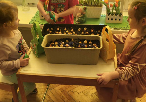 dzieci doglądają roślin