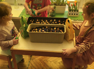 W naszym ogródeczku