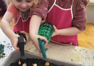 dzieci podlewają cebulki