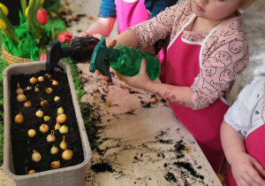 dzieci podlewają cebulki