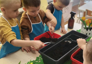 dzieci wsypują łyżkami ziemię do donicy