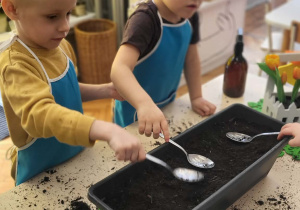 dzieci wsypują łyżkami ziemię do donicy