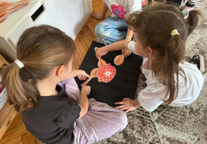 Dziewczynmi dodaja w zakresie 6