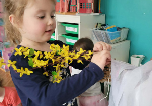 Dziewczynka wklada w słomę gałązki forsycji