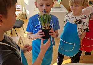 Dzieci trzymają szafirka