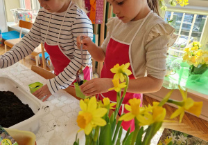 Dziewczynka wsypuje ziemię do doniczki
