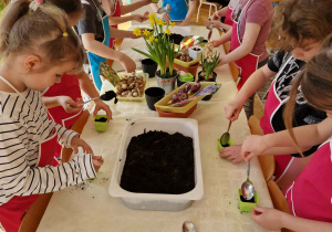 Dzieci wsypują ziemię do doniczek