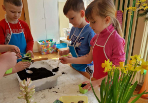 Chłopcy wsypują ziemię do zielonych doniczek