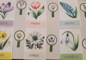 Plansze z wiosennymi kwiatami