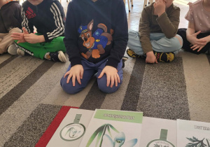 Chłopiec układa lupę z przebiśniegiem