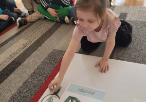 Dziewczynka układa lupę z hiacyntem