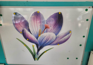 Duży kwiat hiacyntu zwieszony na tablicy