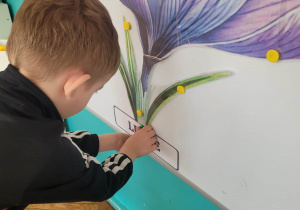 Chłopiec przyczepia napis liście