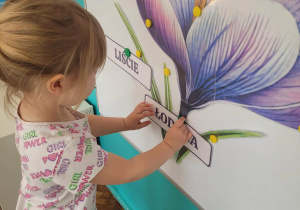 Dziewczynka przyczepia napis łodyga