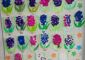 Hiacynty na tablicy w szatni