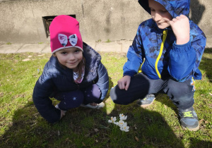 Dzieci przy prawdziwym krokusie