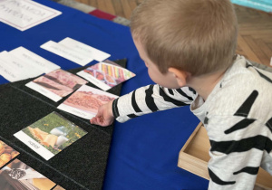 Chłopiec kładzie ilustrację na piramidzie żywieniowej