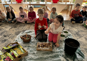 Dzieci oglądają cebulki tulipana