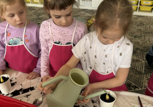 Dziewczynka podlewa doniczkę