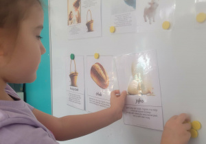 Dziewczynka przyczepia ilustrację jajek