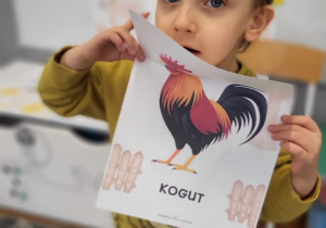 chłopiec prezentuje plansze z kogutem
