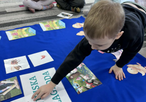 Chłopiec układa obrazek świnki