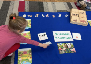 Dziewczynka kładzie obrazek świnki