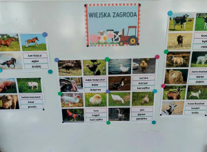 Na wiejskim podwórku