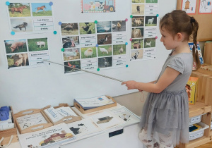 Dziewczynka wskazuje knura