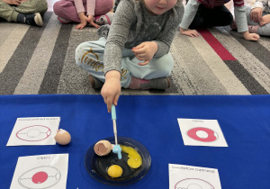 Dziewczynka pokazuje żółtko