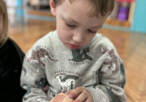 Chłopiec ogląda skorupkę od jajek