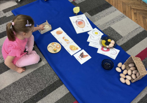 Dziewczynka układa model rozwoju kury