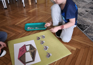 Cgłopiec układa ptaki pod karmnikiem