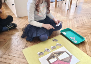 Dziewczynka przelicza ptaki pod karmnikiem