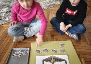 Dziewczynka przelicza ułożone ptaki