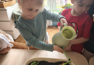 Dziewczynka podlewa cebulę